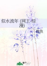 似水流年 (网王-综漫)